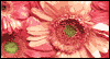 You're in My Heart: Free Sympathy ecard from Egreetings