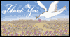 Beautiful Soul -- Flavia Just Because eCard from Yahoo! Greetings