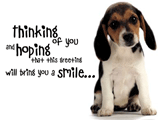 Sending a Smile Your Way 