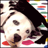 You Did It! -- Graduation Congrats Greeting Cards project from Yahoo! Greetings