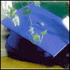 Celebrating a New Beginning -- Graduation Party Invitations project from Yahoo! Greetings