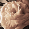 On the Loss of Your Grandmother -- Loss of Family Member Sympathy Greeting Cards project from Yahoo! Greetings