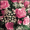 This Day Belongs to You -- Birthday Greeting Cards for Special People project from Yahoo! Greetings