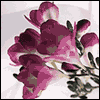 Celebrate Your Love! -- Couples Anniversary Greeting Cards project from Yahoo! Greetings