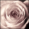 Our Beautiful Life Together -- Anniversary Greeting Cards project from Yahoo! Greetings