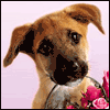 I Care -- Care and Concern Get Well Greeting Cards project from Yahoo! Greetings