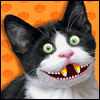 From the Cat -- Everyday Halloween Greeting Cards project from Yahoo! Greetings