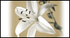 Peaceful Easter Wish: Free Religious Easter ecard from Egreetings