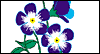 Happy Mother-in-Law Day! -- Mother-in-Law's Day eCard from Blue Mountain