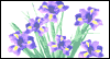 Remembering You and Yours: Free Sympathy ecard from Egreetings