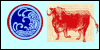 Ox