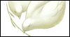 All Good Things: Free Wedding Congratulations ecard from Egreetings
