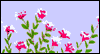 Mom, as I Have Grown... -- Mother eCard from Blue Mountain