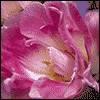 For My Stepdaughter --  project from Yahoo! Greetings