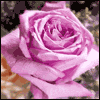 Sharing Life with You -- Intimate Love Greeting Cards project from Yahoo! Greetings