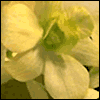 For a Dear Friend -- Loss of Loved Ones Sympathy Greeting Cards project from Yahoo! Greetings