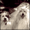 Gettin' Hitched -- Wedding & Engagement Congratulations Greeting Cards project from Yahoo! Greetings