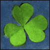 Special People -- St. Patrick's Day Everyday Greeting Cards project from Yahoo! Greetings