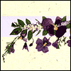 I'm Glad I Married You -- Mother's Day For Wives project from Yahoo! Greetings