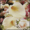 A Blessed Marriage -- Christian Anniversary Greeting Cards project from Yahoo! Greetings