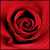 I'll Love You Forever -- Anniversary Greeting Cards project from Yahoo! Greetings