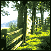 A New Venture for You -- Good Luck Greeting Cards project from Yahoo! Greetings