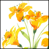 Glad Your Surgery's Over -- Get Well Greeting Cards For Anyone project from Yahoo! Greetings