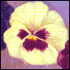 Thinking of Our Friendship -- Thinking of You Friendship Greeting Cards project from Yahoo! Greetings