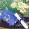 Graduation Gift -- Graduation Thank You Greeting Cards project from Yahoo! Greetings