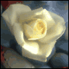 Wonderful Gift -- Religious Thank You Greeting Cards project from Yahoo! Greetings