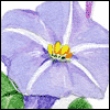 How Much You Mean to Me -- Mom Birthday Greeting Cards project from Yahoo! Greetings