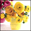 A Special Caregiver -- Caregiver Thank You Greeting Cards project from Yahoo! Greetings