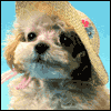 Friendly "Hi" -- Just Because I Want to Say Hi Greeting Cards project from Yahoo! Greetings