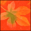 Romantic -- Significant Other Thanksgiving Greeting Cards project from Yahoo! Greetings
