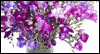 You're Special -- Mother-in-Law's Day eCard from Blue Mountain
