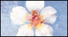 Happy Shavuot -- Shavuot eCard from Yahoo! Greetings