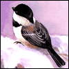 God Bless You -- New Years Greeting Cards for Anyone project from Yahoo! Greetings