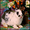 Easter Hello -- Aunt or Uncle Easter Card project from Yahoo! Greetings