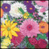 Wonderful Grandma -- Grandmother Birthday Greeting Cards project from Yahoo! Greetings