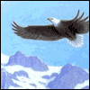 America Soars Proud -- Memorial Day Greeting Cards project from Yahoo! Greetings