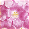 For Sister-in-Law -- Mother's Day For Sisters project from Yahoo! Greetings