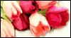 Forever in Your Heart -- Loss of a Love One eCard from Yahoo! Greetings