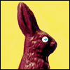 What?! -- Everyday Easter Greeting Cards project from Yahoo! Greetings