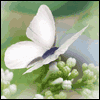 Thank God for You -- Religious Mother's Day Greeting Cards project from Yahoo! Greetings
