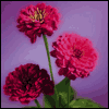 Thanks for Being There -- Everyday Thank You Greeting Card project from Yahoo! Greetings