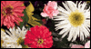 Wonderful Day: Free Mother's Day ecard from Egreetings