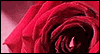 In My Thoughts (Personalized) --  eCard from Yahoo! Greetings