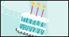 birthday celebration