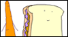 Lunch Party -- Free Lunch and Brunch Invitations -- Yahoo! Greetings Invites