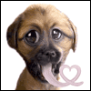 Tongue-tied -- Anniversary Greeting Cards project from Yahoo! Greetings